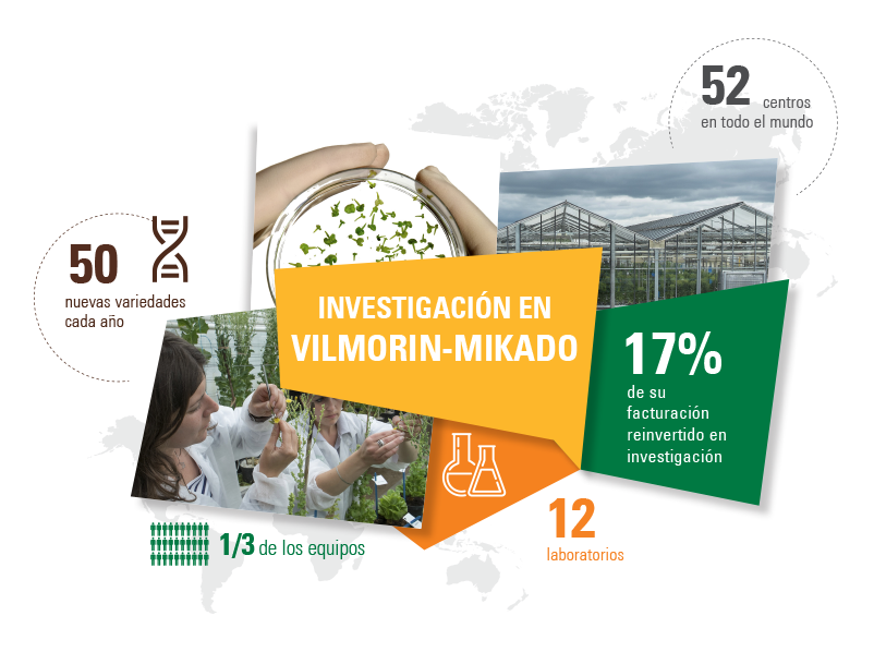 investigacion en vilmorin-mikado