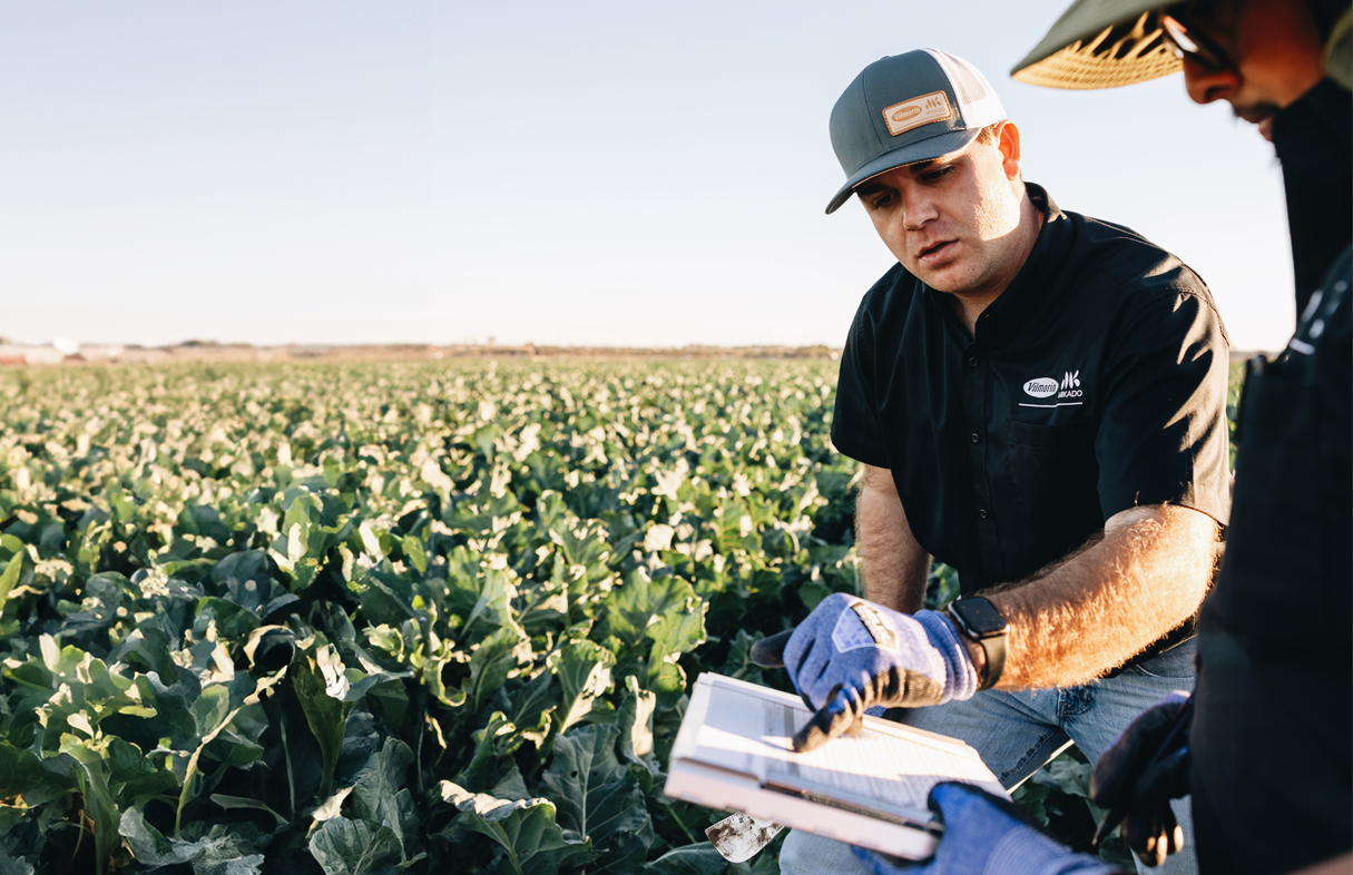 En todas partes, más cerca de usted