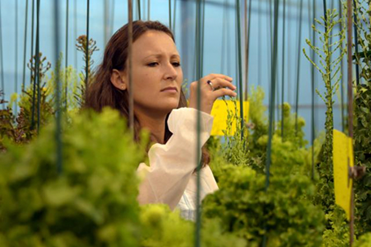 Para estar cerca de las necesidades de los productores