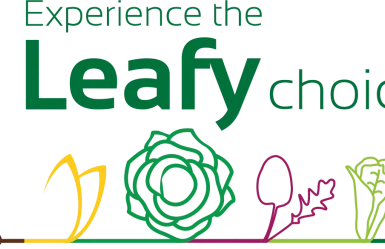 Experience the Leafy Choice mexico