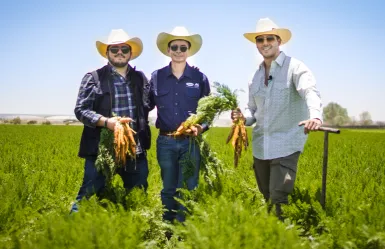 Vilmorin-Mikado con nuestro socio : Rancho el Tiron 