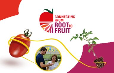 ConectandoDesdeLaRaizHastaElFruto_ImagenPrincipal