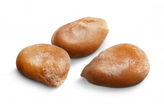 Tomate Vilmorin experto semillas mexico 