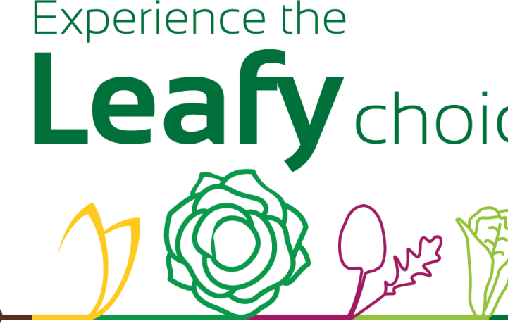 Experience the Leafy Choice mexico